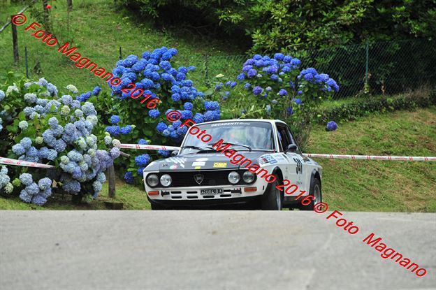DSC_6995.JPG
